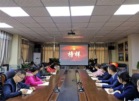 向榜樣看齊，做合格黨員