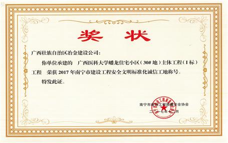 南寧分公司四個(gè)項(xiàng)目獲表彰！