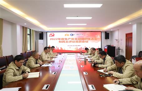 廖立波、唐峰、何勇以普通黨員身份參加所在黨支部2022年度組織生活會